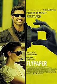 Flypaper (2011)